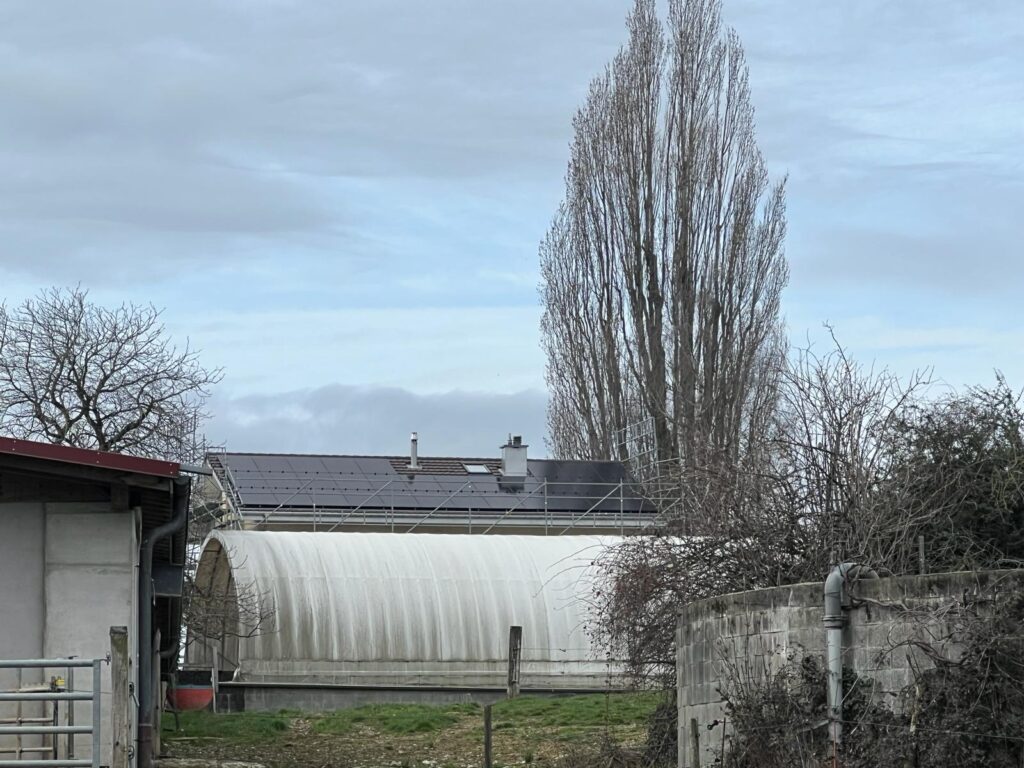 PHOTO 2024 03 01 13 38 56